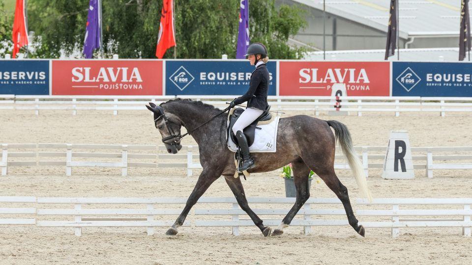 Ve Zduchovicích při drezurním KMK dominovali Brianna, Q.1, Charm a Fagio