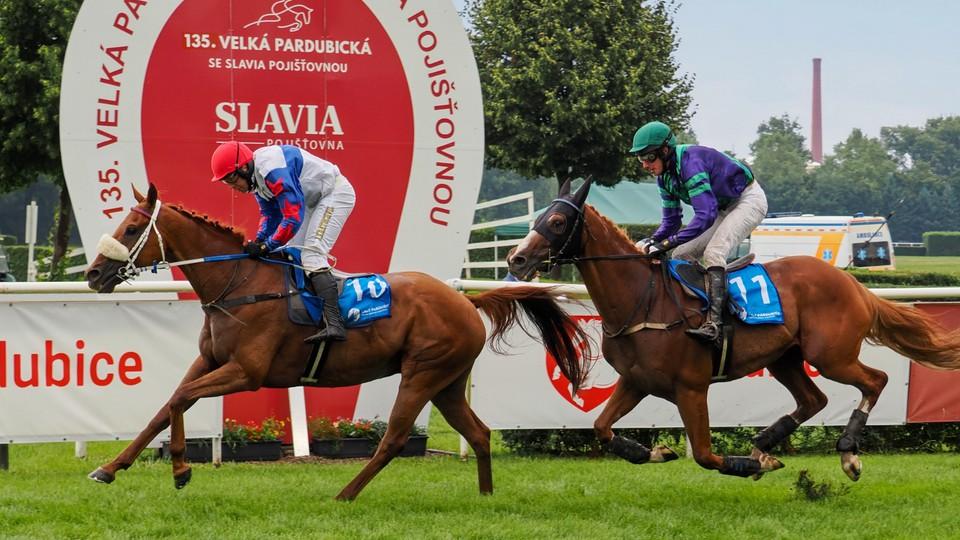 Chelmsford je zpátky, po roce vyhrál kvalifikaci. Mr Spex ukončil kariéru