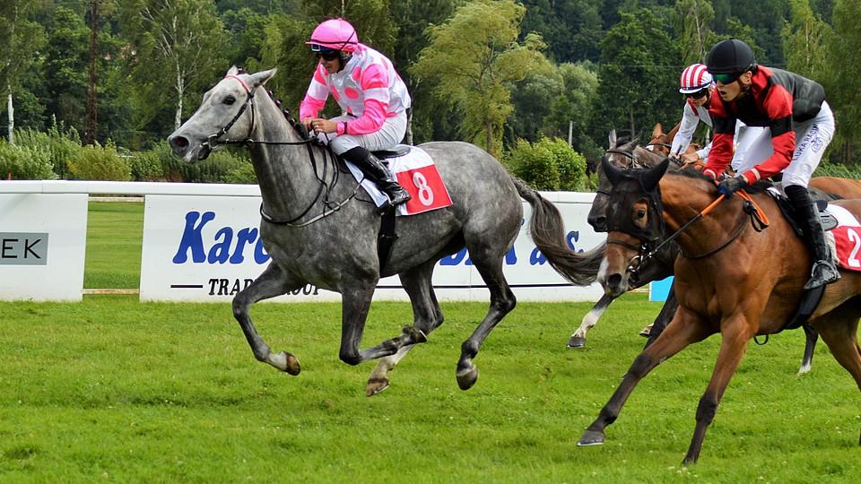 Bílé překvapení v Oaks: Sainte Victoire s Vernerem dali mat favoritkám