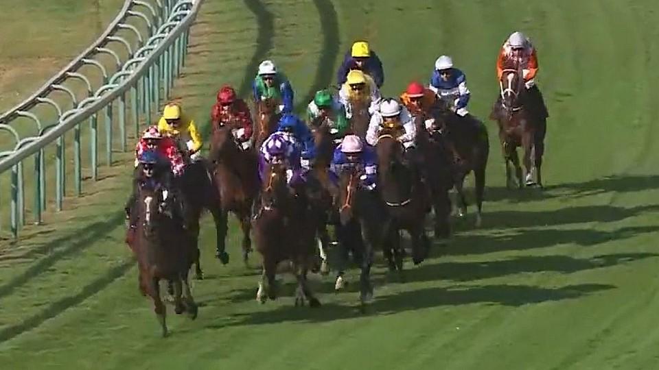 Nieslanikovi neuspěli v lukrativním Deauville, Holy Romanised pátý