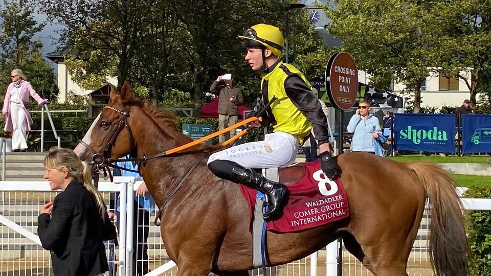 Liška po čtvrtém místě v Irish St. Leger: Byl jsem jako Alenka v říši divů