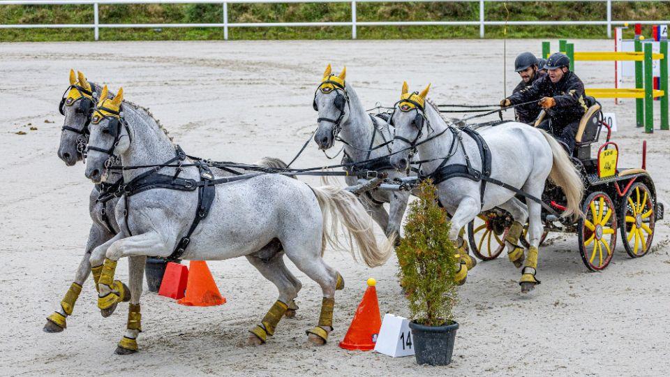 Open Driving Cup na Jítravě ovládl Domes. V jednospřeží vyhrál Štursa