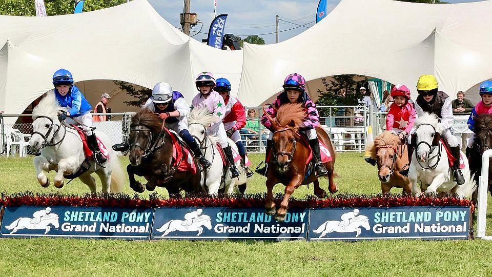 Malí poníci, ale velká srdce. Shetland Pony Grand National míří do Prahy