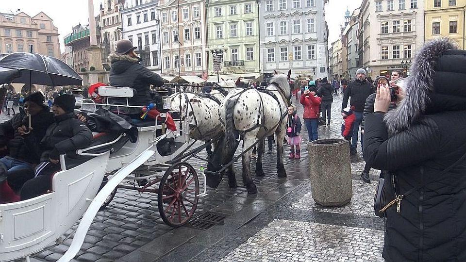 Fiakristé nesouhlasí s výpovědí magistrátu. Chystají právní kroky i petici