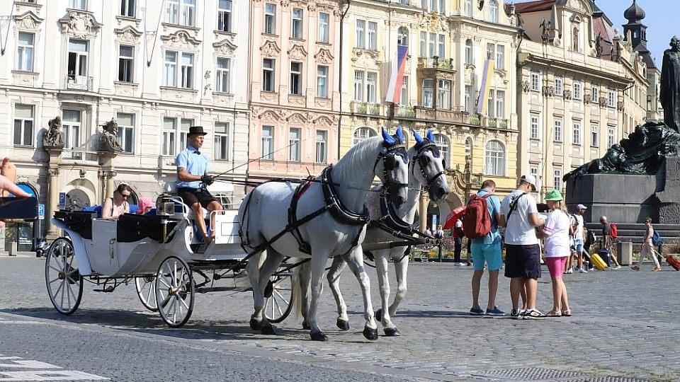 Magistrát zdůvodnil okamžitou výpověď fiakristům. Ti reagují: Je to nesmysl