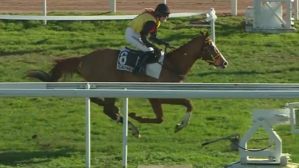 Neprašová si rozbalila dárek na Boží hod: Sopran Mistery bodoval v Cagnes
