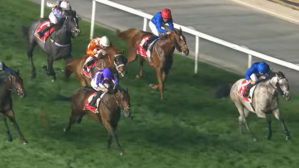 Meydan raketám neustoupil. Zumbezi na tabuli v dubajských 2000 Guineas