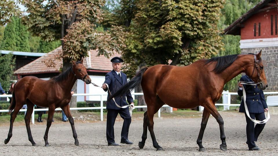 Soud zamítl žaloby v kauze Napajedla. Památková ochrana je správná, tvrdí