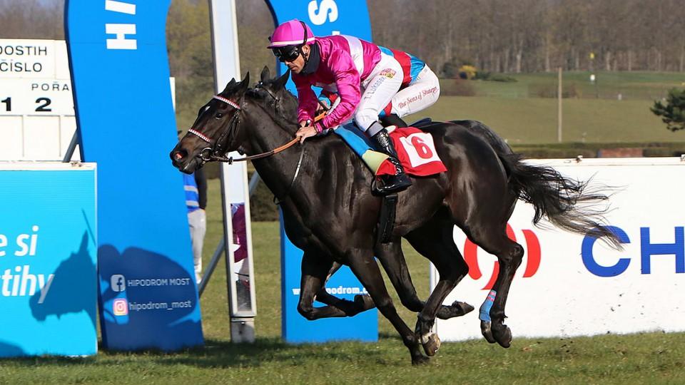 Cath Hoche favoritkou Jarní ceny klisen, Most viděl hattrick Ivany Pejškové