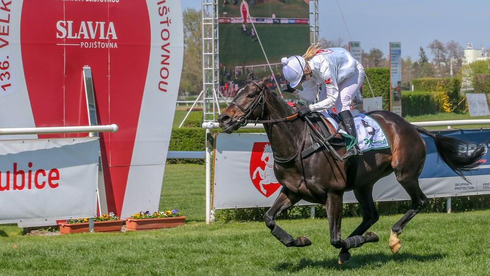Letošní série Petry Zedkové pokračuje. V Pardubicích se radovala s Platinou