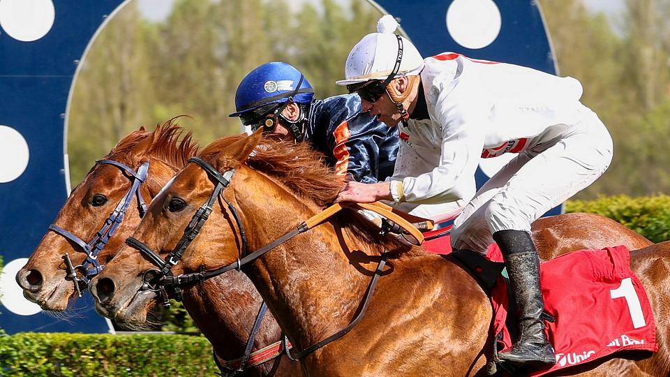 Zajímaví tříletí v Chuchli: Iceni Boy vyhrál trial, Earnest míří do derby