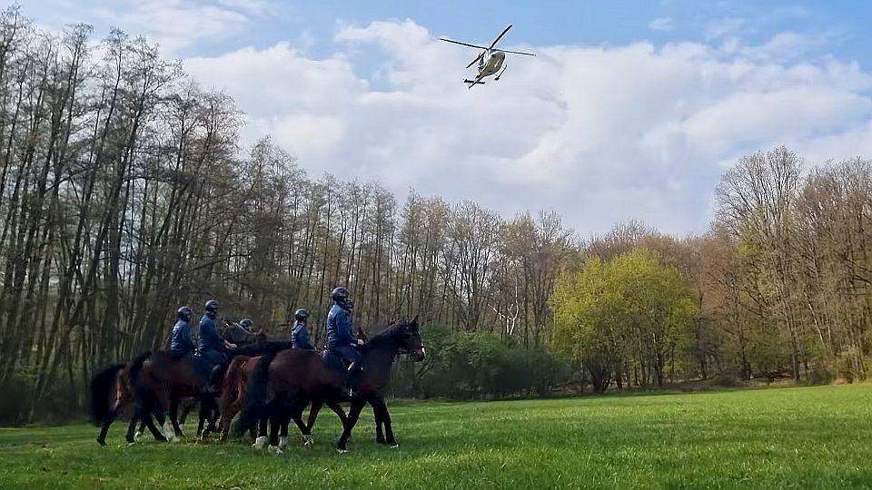 Jízdní policie trénovala s leteckou službou. Vrtulník koně nevystrašil