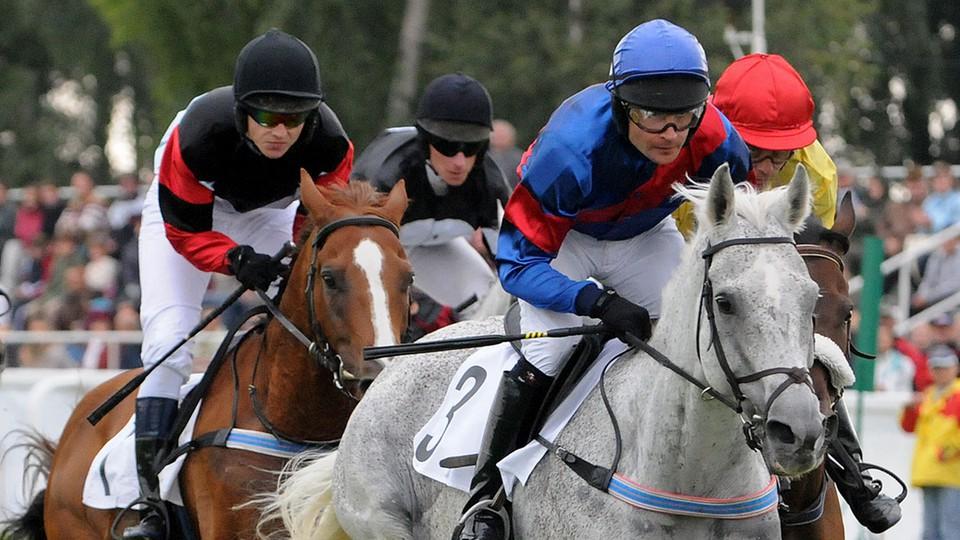 Odešel Amant Gris. Nekorunovanému hrdinovi Velké pardubické bylo 27 let