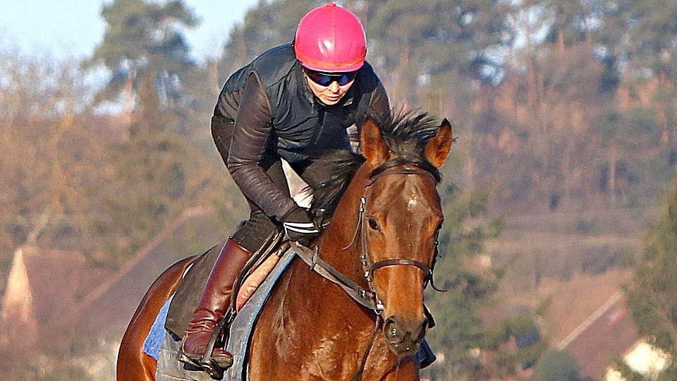 Quantas, pomalu broušený diamant. Ještě se radíme, co dál, říká Václav Luka