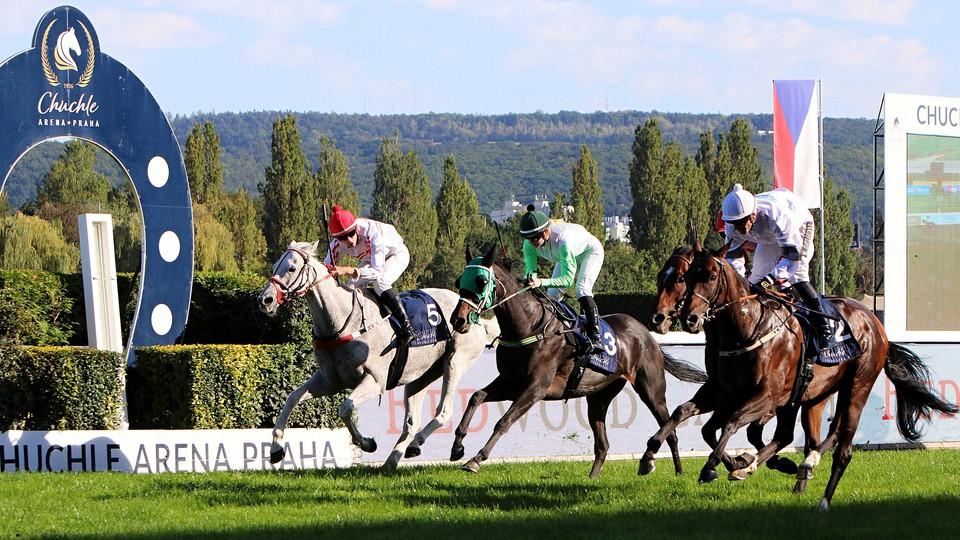 91 přihlášek z pěti zemí. Prague Champions Day slibuje výbornou podívanou