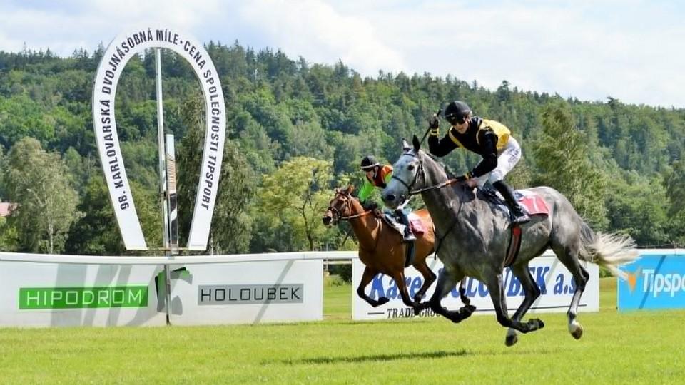 Maďarský triumf v dvojnásobné míli: Flying Aquangel využil pérové váhy
