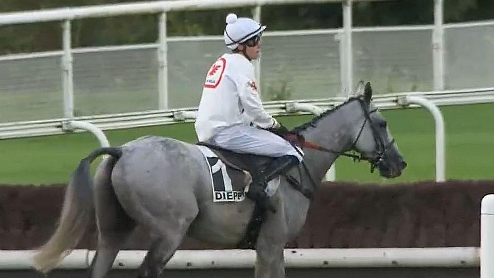 Tcheque King dominoval v Dieppe, listed v Meranu pro Scuderii Aichner