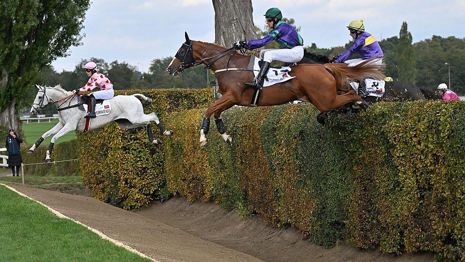 Do Velké pardubické je přihlášeno 11 koní. Vrací se tým Gavina Cromwella