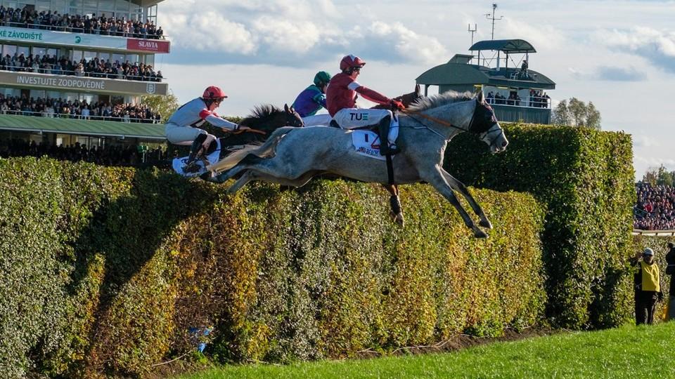 Řekni, kde ti koně jsou. Pokles přihlášek do Velké pardubické nepřekvapil