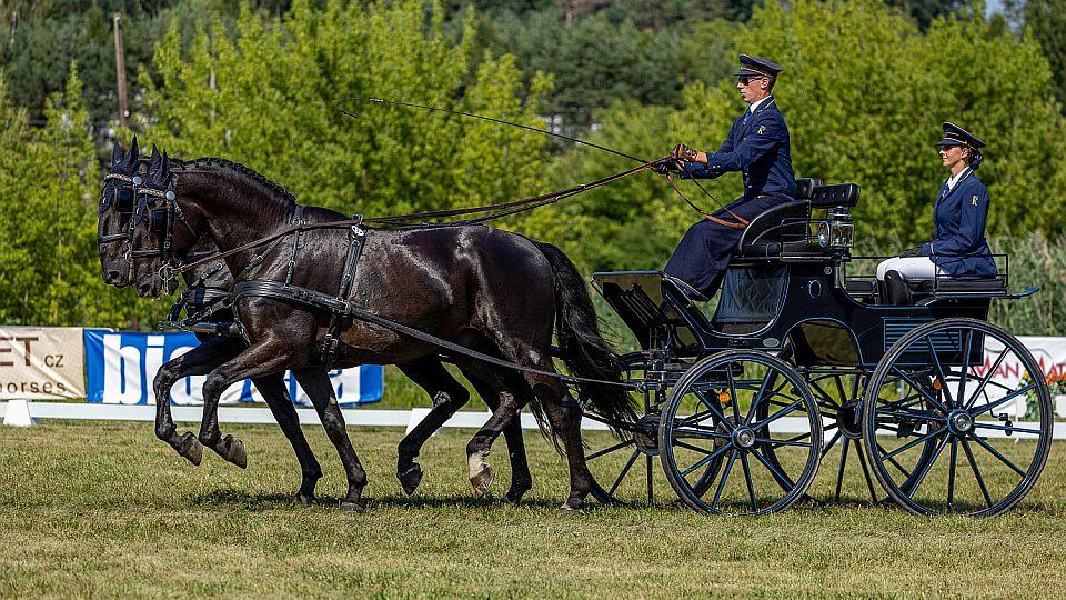 titulka