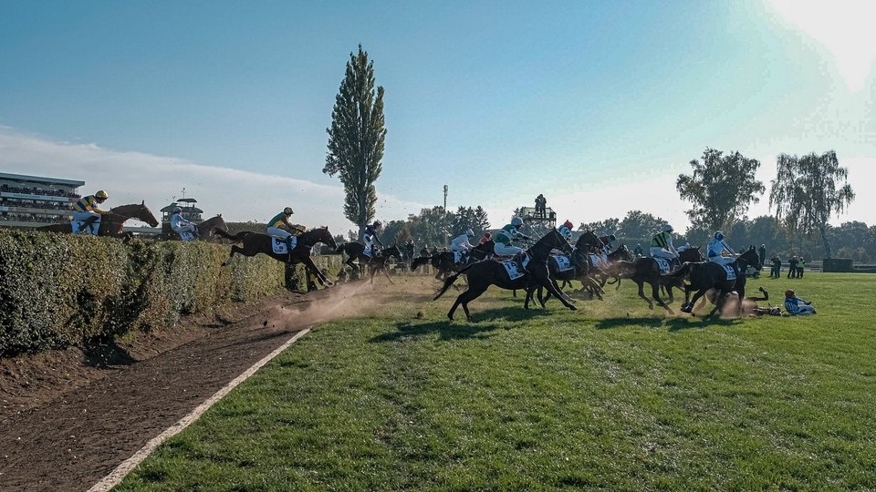 Sázkový obrat na Pardubice přesáhl 15 milionů, na Velkou 8,9 milionu