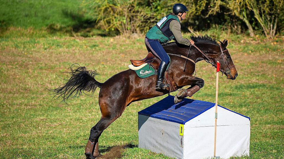 Adéla Císařová s Chestertonem zvítězila v CNC2* Přeštěnicích