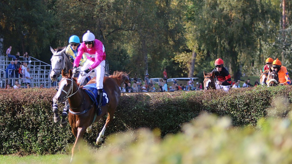 Hattrick Váňových v Trevisu: Bodovaly Scuderia Aichner i Statek Blata