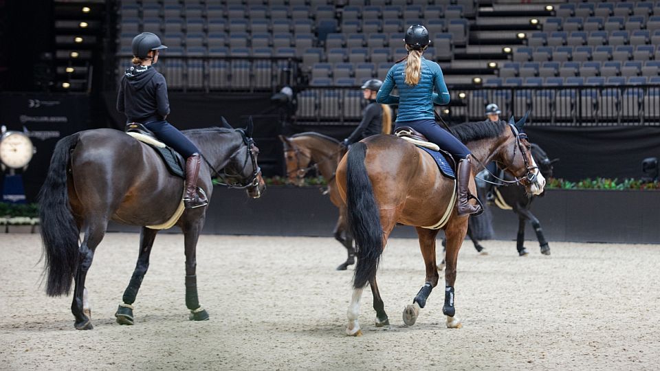 Sportovní aktivity a nová mimořádná opatření MZ. ČJF vydala stanovisko