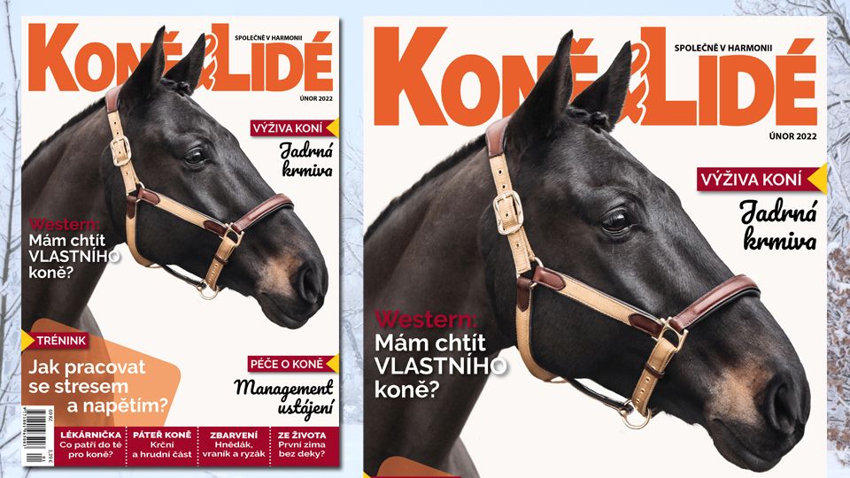 Koně a lidé 2/2022: Dozvíte se, jak pracovat se stresem a napětím