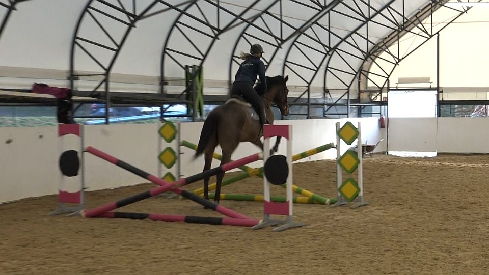 Jak zlepšit techniku předních končetin? In-out a gymnastická řada