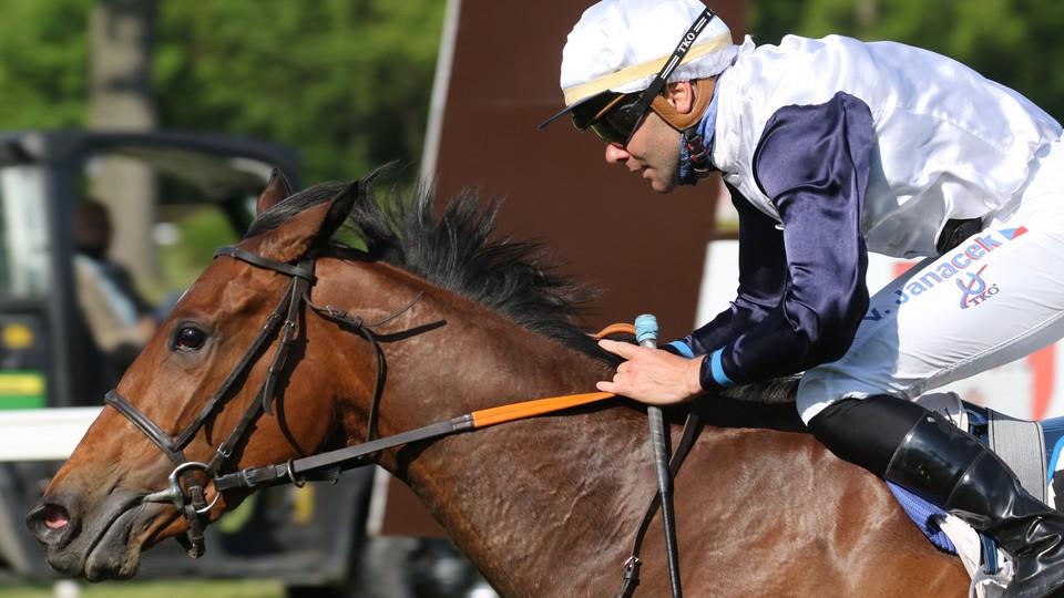 Syrenka šestá v Chantilly, o dotaci přišla v posledních metrech