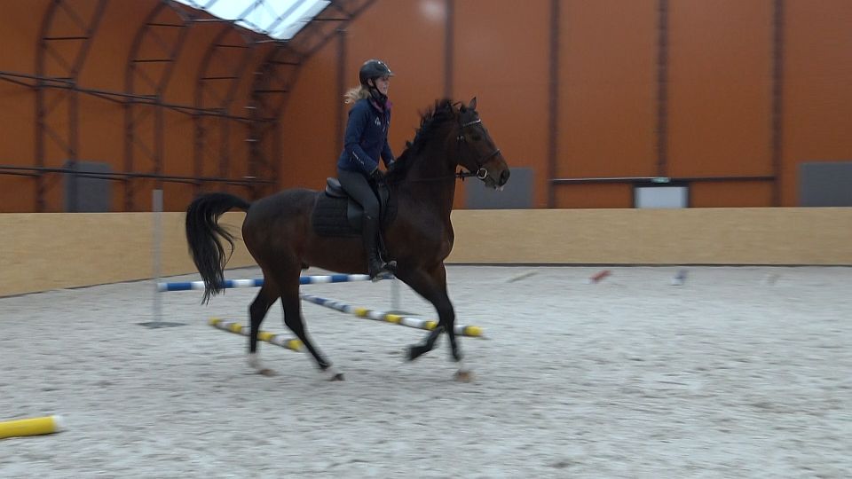 Problém s přeskoky: Aby je kůň dělal správně a nestresoval se při tom