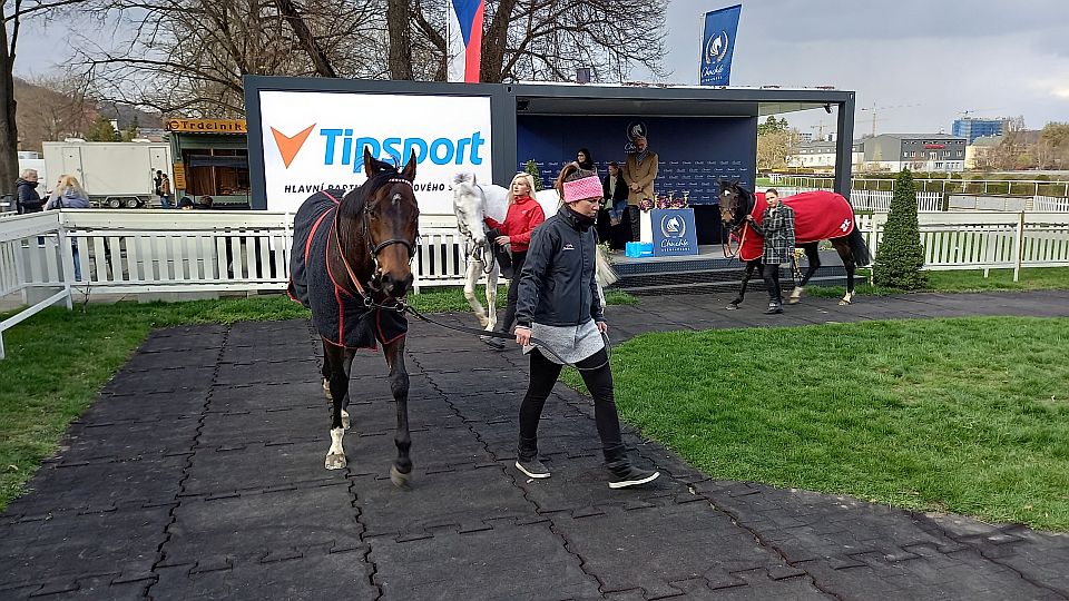 Jir Sun a Martin Laube vyhráli 95. Tipsport Gomba Handicap v Chuchli