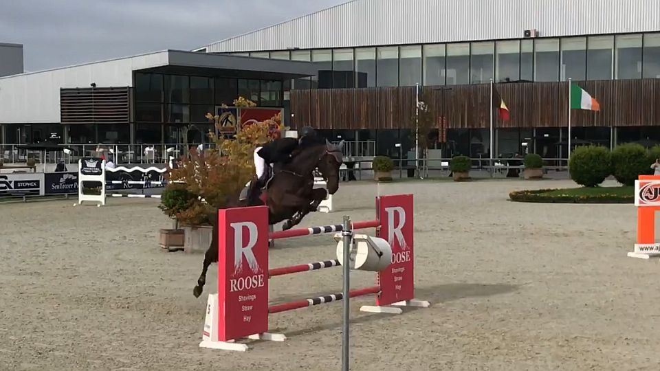 Martin Řezníček uzavřel CSI2* Opglabbeek další výhrou s Coolmanem