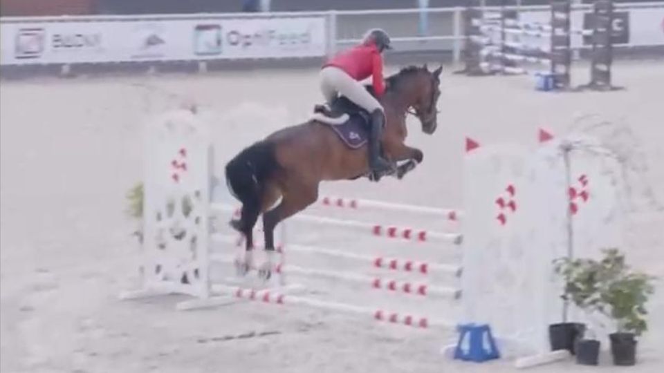 Kamila Veselá s Arabesque Elyette zahájila CSI Zielona Góra vítězstvím