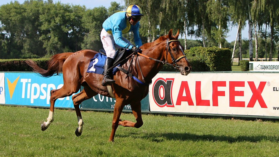 Duel veteránů: Larizano porazil Theophilose v Prvomájové steeplechase