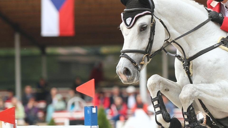 Anna Marie Vítek úspěšná na CSI v Grimaud ve Francii. Daří se i Kukové