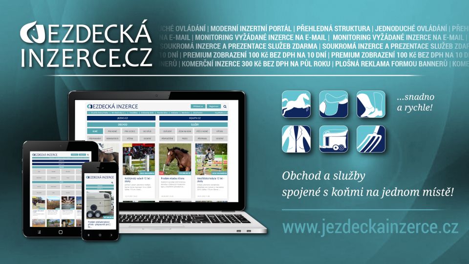 Jezdecká inzerce top10: To byly inzertní hity 21. týdne 2022