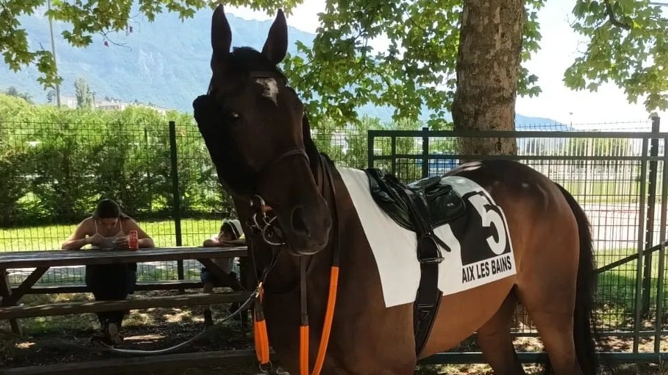 Úspěšný výjezd do Aix-les-Bains: Lassca i Mysak Miki se umístili