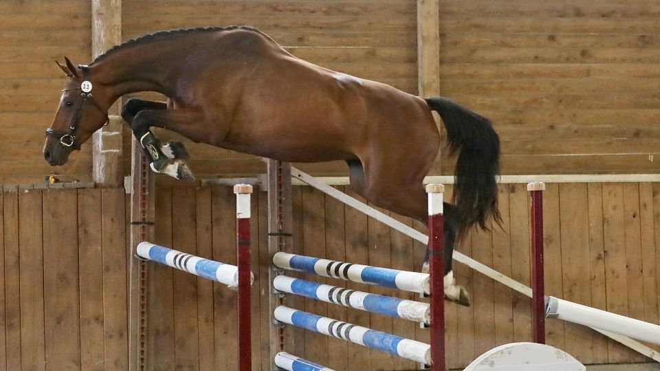 ZZV klisen v Proseči pod Křemešníkem. Zvítězila Cleris Zdeňka Hrnčíře
