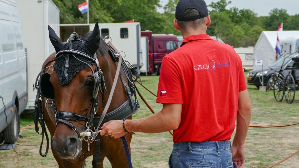Francie dějištěm šampionátu jednospřeží. Česká ekipa už se zabydlela 
