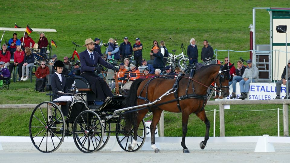 MS jednospřeží Le Pin au Haras: České družstvo je po drezuře třinácté