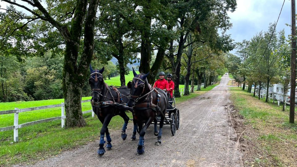 Novák zajel v Lipici osmý nejlepší maraton. Posunul se pořadím vzhůru