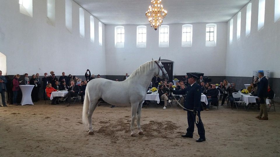 V Národním hřebčíně proběhlo setkání šéfů veterinárních služeb EU