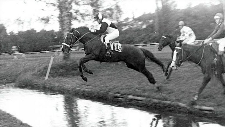 Při 132. Velké pardubické proběhnou v NH Kladruby speciální prohlídky