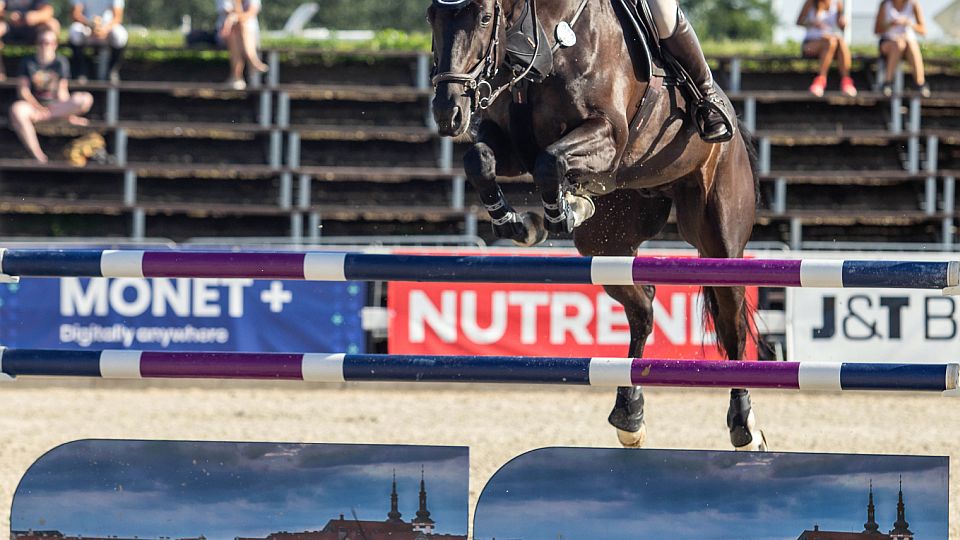 Kovářová, Klus a Zwinger vyhráli v prvním kole Grand Prix Jana Kutěje