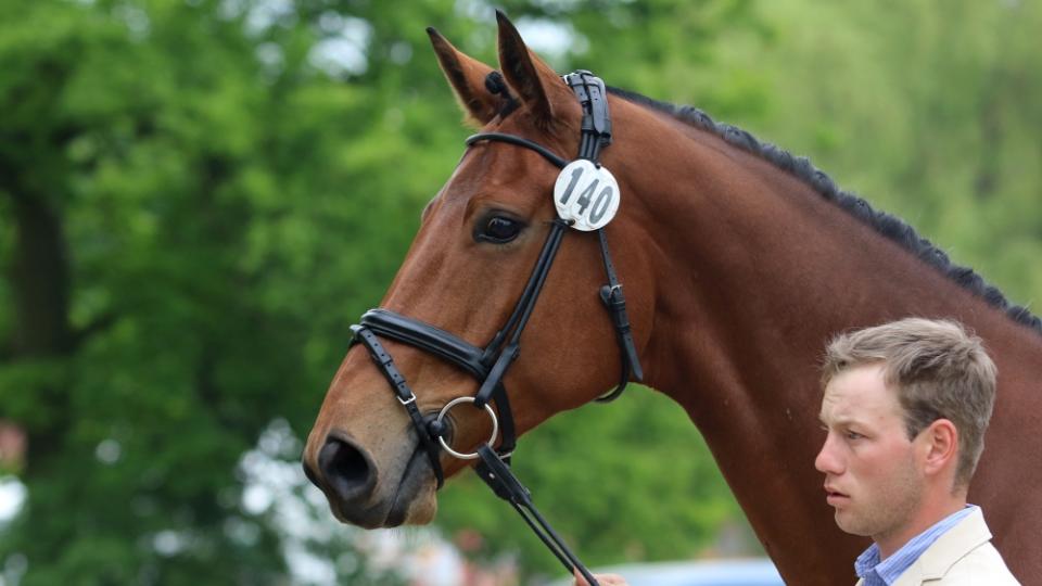 Příhoda pokračuje v CCI4* Avenches. V čele soutěže je i po krosu Jung