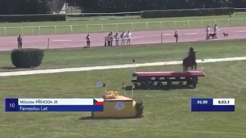 Miloslav Příhoda a Ferreolus v CCI4*-S Avenches dojeli jednadvacátí