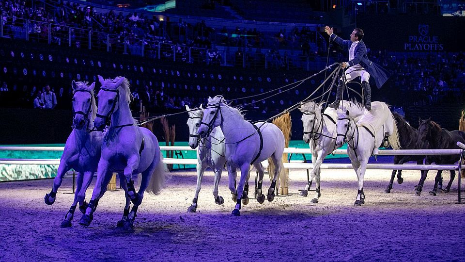 Lorenzo je pro mě ten největší zážitek, říká show managerka Šimůnková