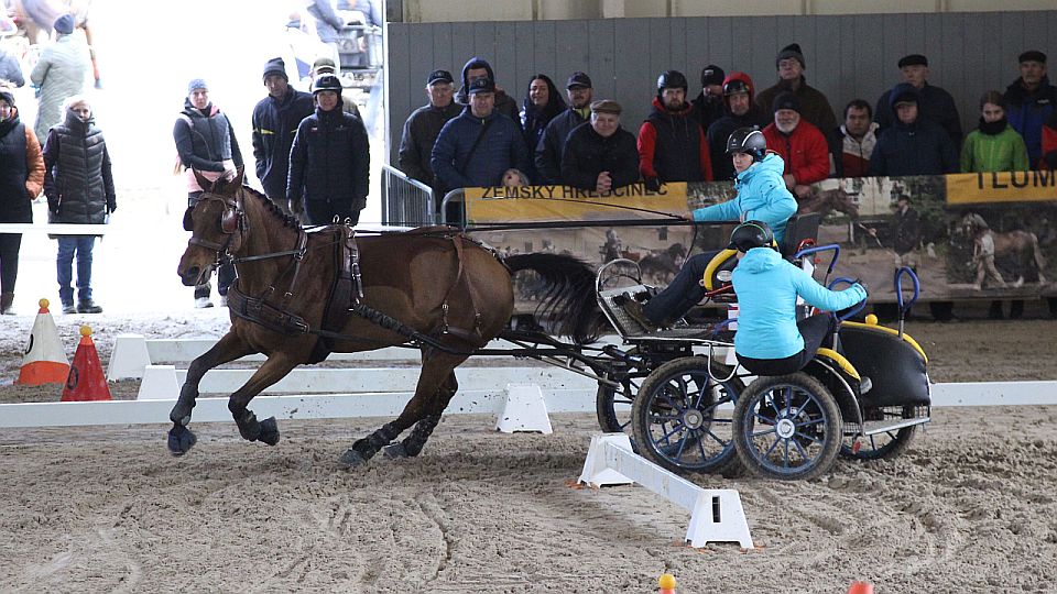 Equinews: Vozatajský hattrick v Tlumačově. Delacroix vyhrál předvýběr
